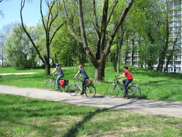 Drei Personen fahren Fahrrad im Grünen.