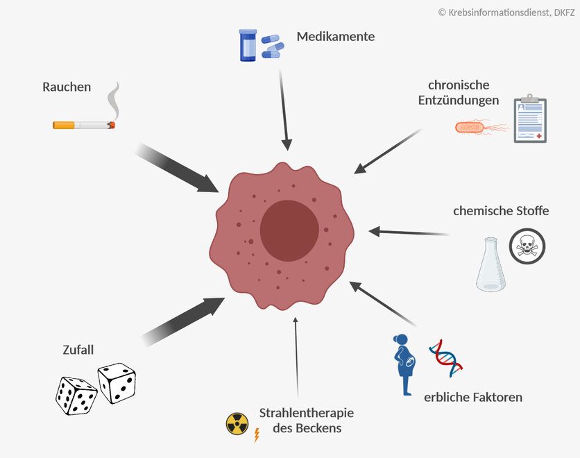 Rund um eine Krebszelle sind die verschiedenen Risikofaktoren für Blasenkrebs unterschiedlich gewichtet dargestellt: Hauptrisikofaktor ist Rauchen. Daneben sind Medikamente, chronische Entzündungen, chemische Stoffe, erbliche Faktoren und mit kleinem Einfluss eine Strahlentherapie des Beckens dargestellt. Auch der Zufall spielt eine wichtige Rolle.