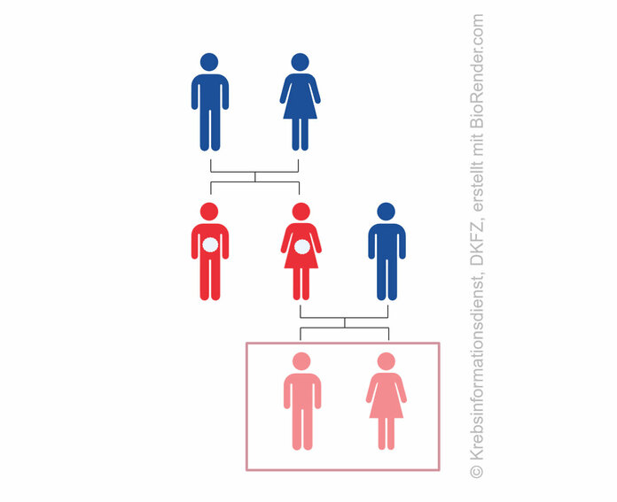 Erhöhtes Pankreaskarzinom-Risiko durch zwei erstgradig Verwandte mit Pankreaskarzinom, dargestellt im Stammbaum.