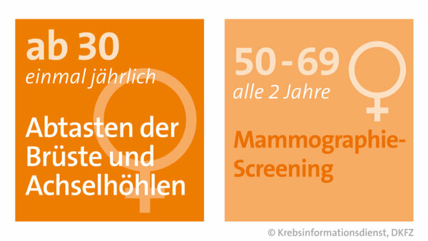 Frauen ab 30 Jahren können einmal jährlich zur ihrer Frauenärztin oder ihrem Frauenarzt gehen, um sich die Brüste und Achselhöhlen abtasten zu lassen. Frauen zwischen 50 und 69 Jahren werden zusätzlich alle 2 Jahre zum Mammographie-Screening eingeladen.