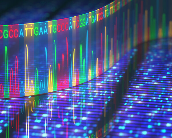 Abfolge von einzelnen Basen des Erbmaterials (DNA).