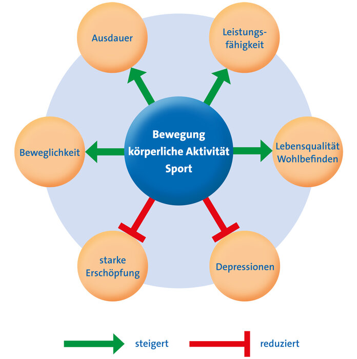 Diagramm, das zeigt, auf welche Vorgänge Bewegung, körperliche Aktivität und Sport bei Krebs Einfluss nehmen kann. Es fördert Ausdauer, Leistungsfähigkeit, Lebensqualität& Wohlbefinden und Beweglichkeit. Es lindert starke Erschöpfung und Depression.