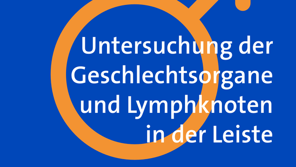 Grafik zur Früherkennung bei Prostatakrebs: Männer können ab 45 Jahren einmal jährlich die Prostata abtasten und ihre Geschlechtsorgane sowie Lymphknoten untersuchen lassen.