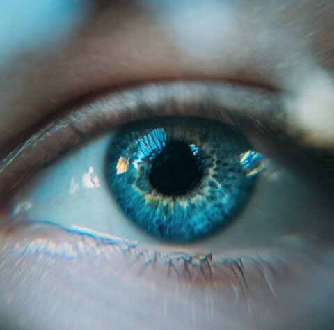 Auge mit blauer Iris in Nahaufnahme