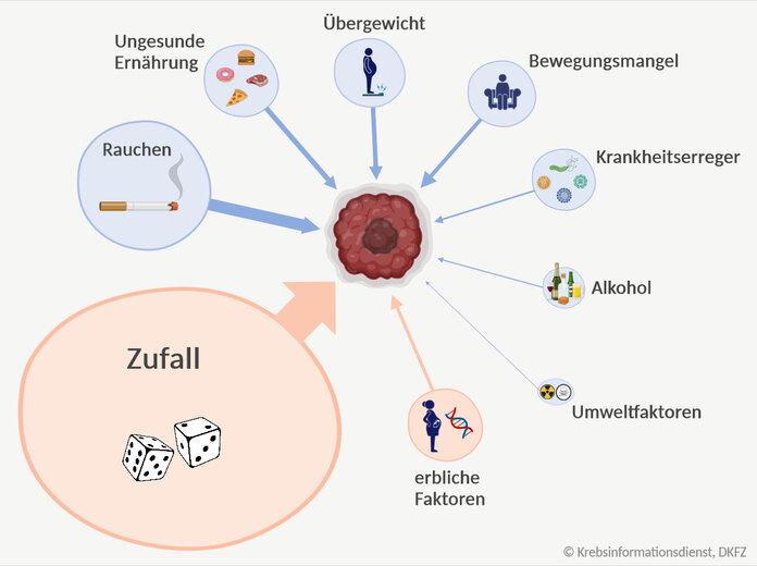 Risikofaktoren für Krebs nach Wichtigkeit