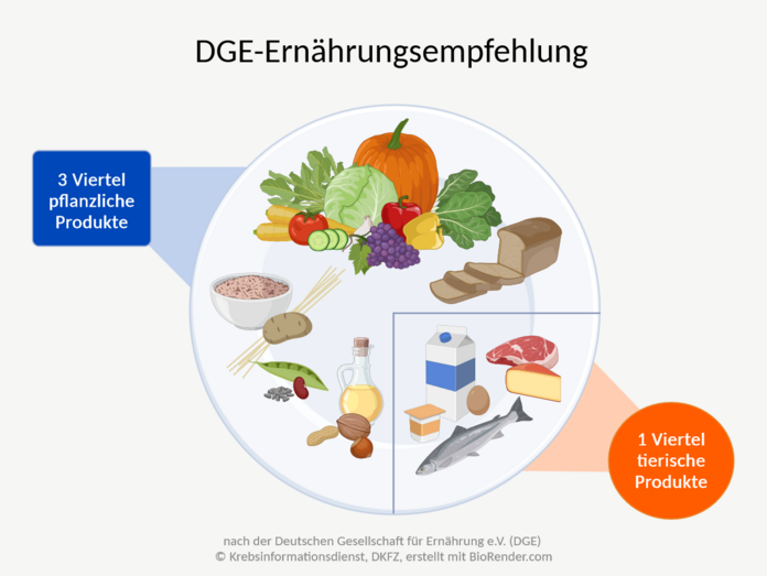 Die DGE empfiehlt, sich überwiegend pflanzlich zu ernähren.