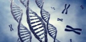 Erbmaterial in Form von DNA-Strängen und Chromosomen, Foto: © nobeastsofierce, Fotolia